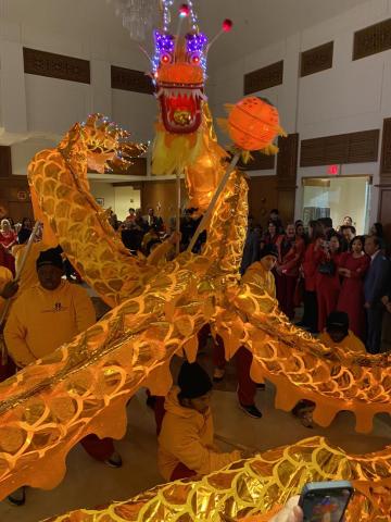 Gold Dragon Performance