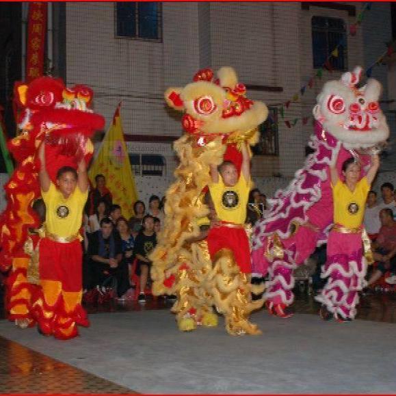 Lion and Dragon Dance